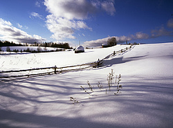 ��������, ������� ������, ����� �� �����