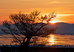 ������� �� �������, �������-������� ����������