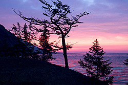 ����� ��������, �������-������� ����������