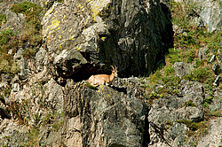 �������, ��������� ������ �����,  �������� ���� 