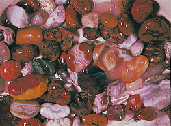 ������������ �������, �������� ���������� 1971 �. ������ ������