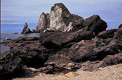 ������������ �������, �������� ���������� 1971 �. ������ ������