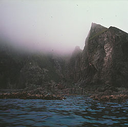 ������������ �������, �������� ���������� 1971 �. ������ ������