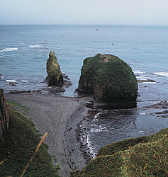 ������������ �������, �������� ���������� 1971 �. ������ ������