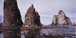 ������������ �������, �������� ���������� 1971 �. 