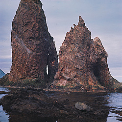 ������������ �������, �������� ���������� 1971 �. 