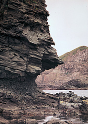 ������������ �������, �������� ���������� 1971 �. ������ ������