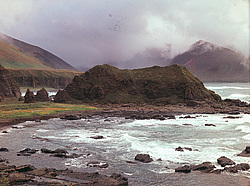 ������������ �������, �������� ����������  1971 �