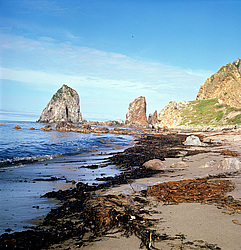 ������������ �������, �������� ����������  1971 �