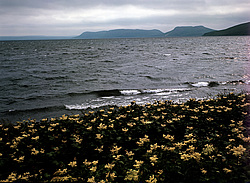 ������������ �������, �������� ����������  1971 �