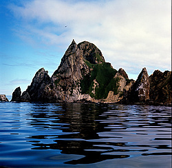 ������������ �������, �������� ����������  1971 �