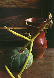 ������������ ���������, ����� ������������