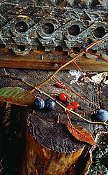 ������������ ���������, ����� ������������