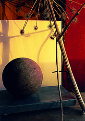 ������������ ���������, ����� ������������