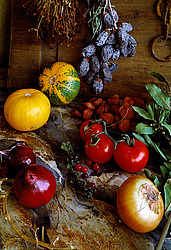 ������������ ���������, ����� ������������