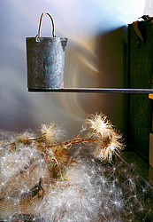 ������������ ���������, ����� ������������