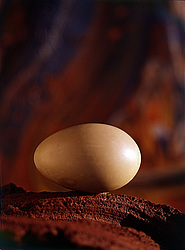 ������������ ���������, ����� ������������