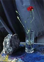 ������������ ���������, ����� ������������