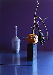 ������������ ���������, ����� ������������