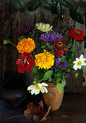 ������������ ���������, ����� ������������