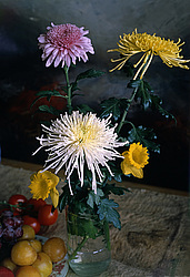 ������������ ���������, ����� ������������