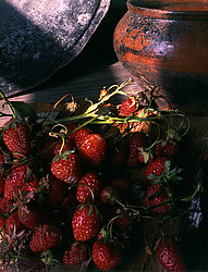 ������������ ���������, ����� ������������