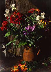 ������������ ���������, ����� ������������