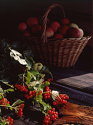 ������������ ���������, ����� ������������