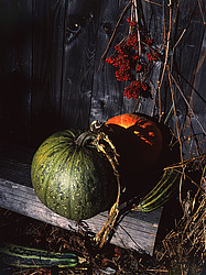 ������������ ���������, ����� ������������