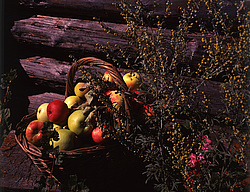 ������������ ���������, ����� ������������