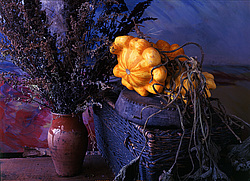 ������������ ���������, ����� ������������