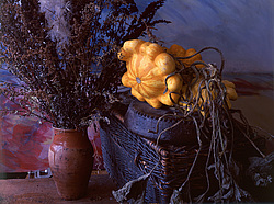 ������������ ���������, ����� ������������