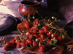 ������������ ���������, ����� ������������