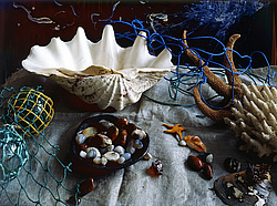 ������������ ���������, ����� ������������