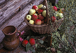 ������������ ��������� ����� ������������