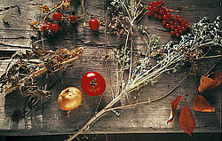 ������������ ��������� ����� ������������