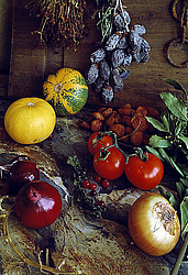 ������������ ��������� ����� ������������