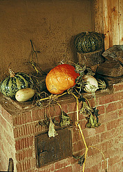 ������������ ��������� ����� ������������