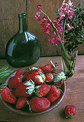 ������������ ��������� ����� ������������