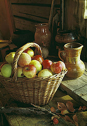 ������������ ��������� ����� ������������