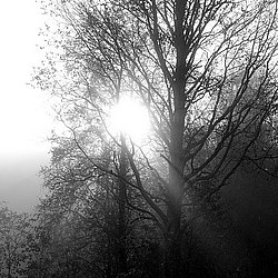 ���� ������ ������ ����� ��������