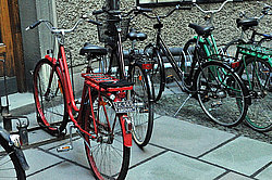 ���������, ������