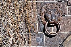 ���������, ������