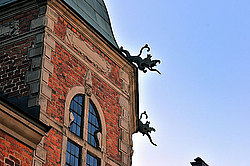 ���������, ������