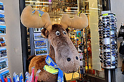 ���������, ������