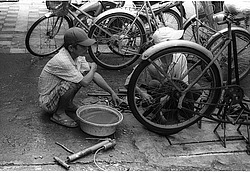 ����������� ���������. ����