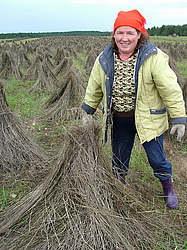 ����������, ����������� �������