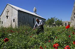 ������ ��������