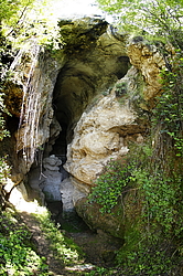 ������ � ��������