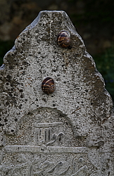 �������� ��������� � ��������